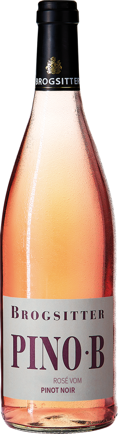 Brogsitter PINO·B Rosé Vom Pinot Noir | Artikel | Stecher & Krahn